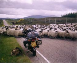 Emboscada por las carreteras de las Highlands de Escocia © Jan Smeele 